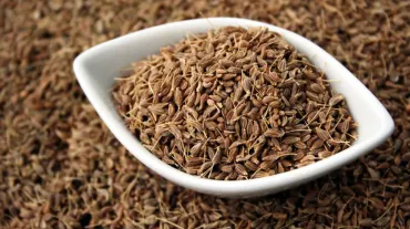 Anise