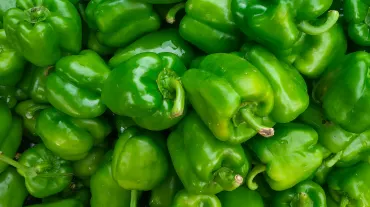 Capsicum